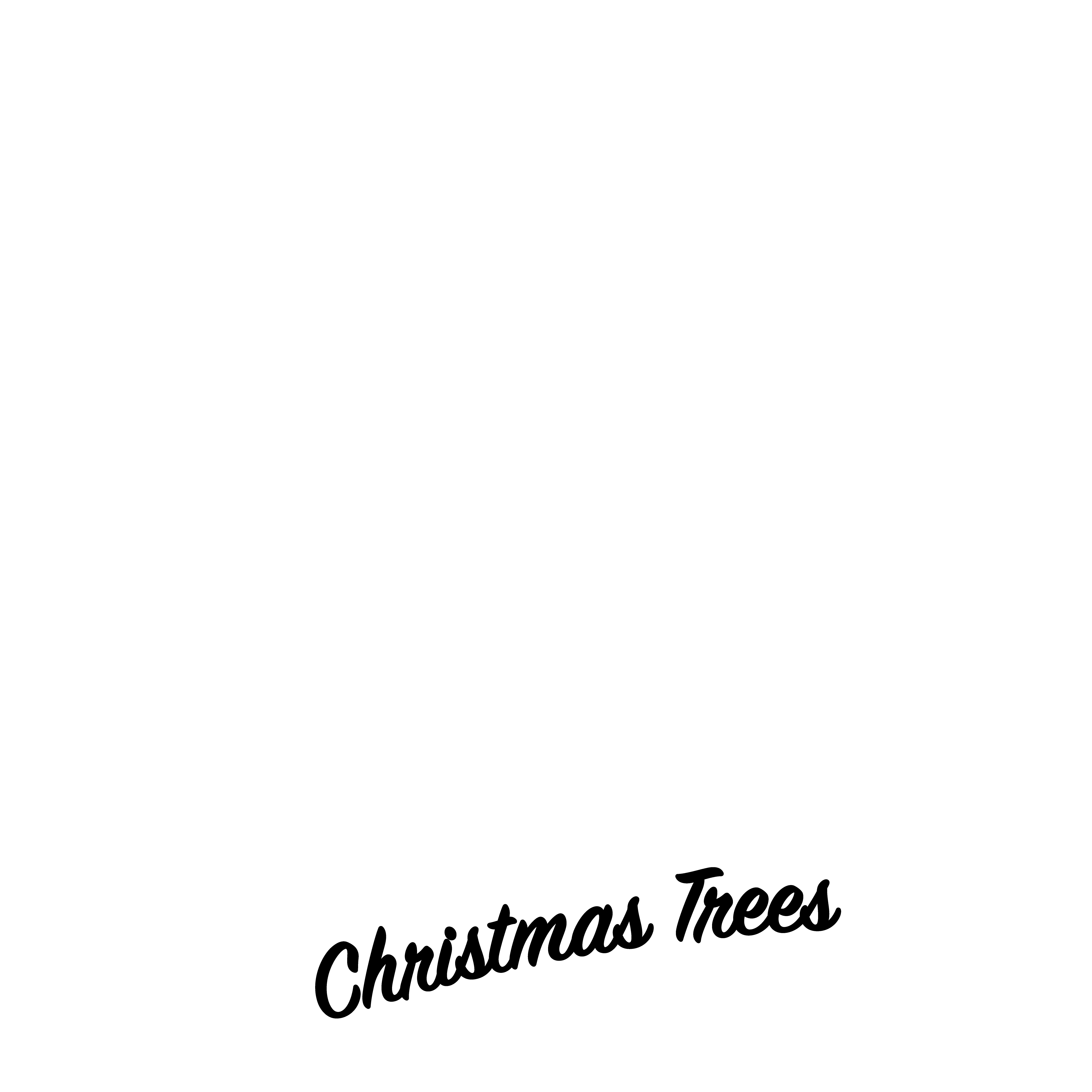 buckelew_farm_christmas_trees